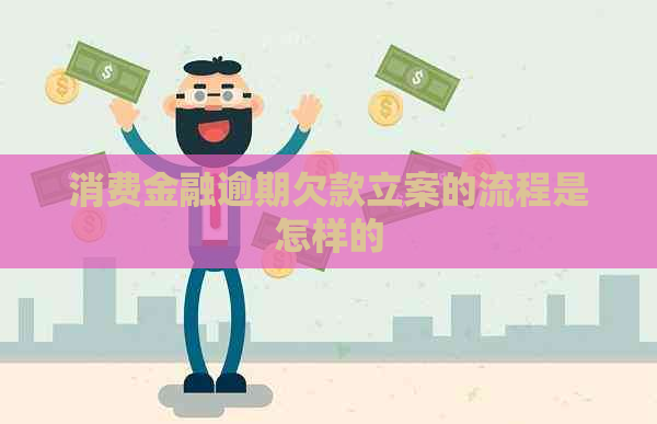 消费金融逾期欠款立案的流程是怎样的