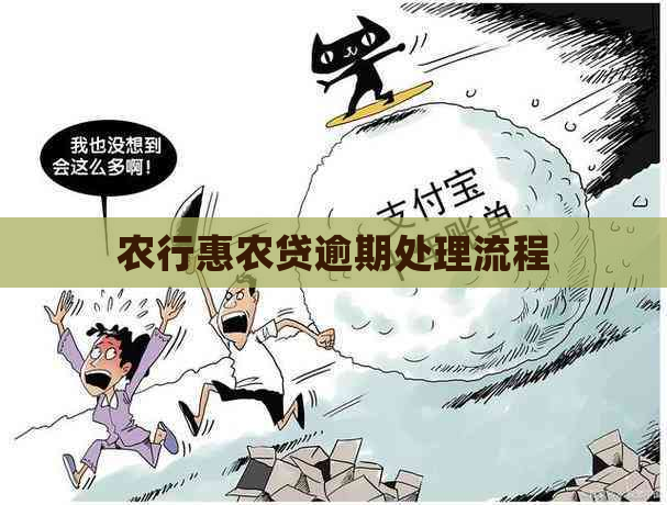 农行惠农贷逾期处理流程
