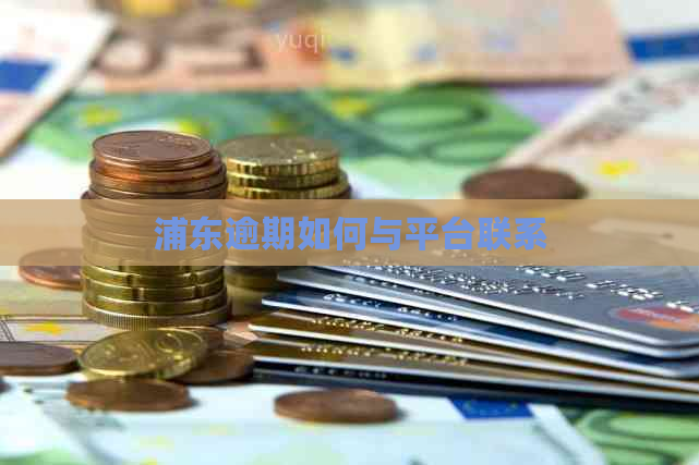 浦东逾期如何与平台联系