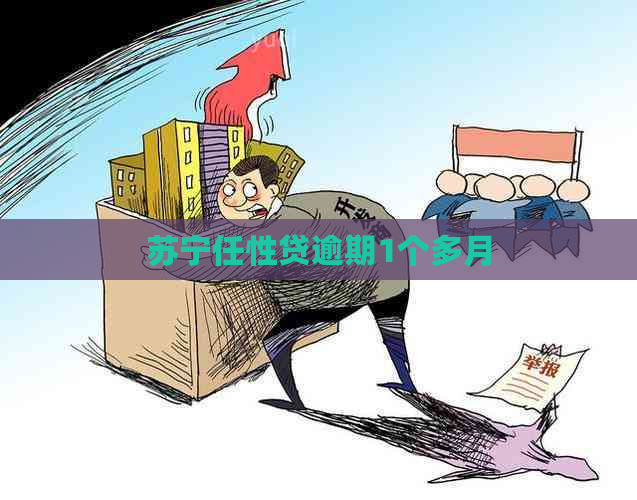 苏宁任性贷逾期1个多月