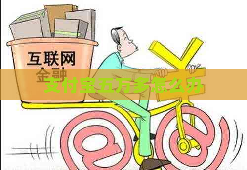 支付宝五万多怎么办