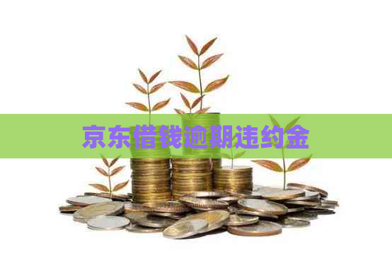 京东借钱逾期违约金