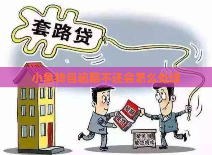 小象钱包逾期不还会怎么处理