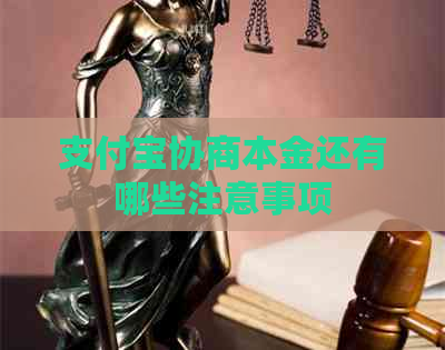 支付宝协商本金还有哪些注意事项