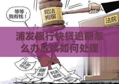 浦发银行快贷逾期怎么办应该如何处理
