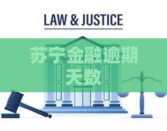 苏宁金融逾期天数