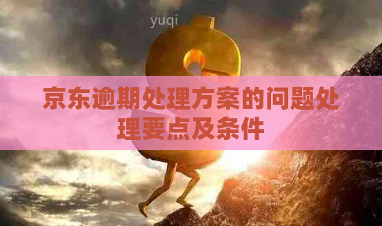 京东逾期处理方案的问题处理要点及条件