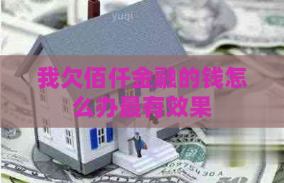 我欠佰仟金融的钱怎么办最有效果