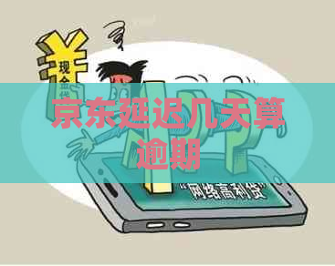 京东延迟几天算逾期