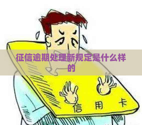 逾期处理新规定是什么样的