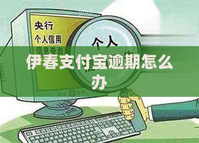 伊春支付宝逾期怎么办
