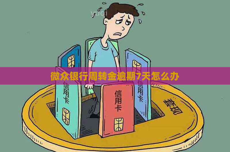 微众银行周转金逾期7天怎么办