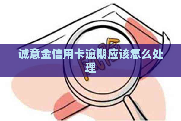 诚意金信用卡逾期应该怎么处理