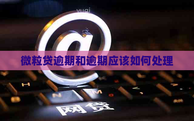 微粒贷逾期和逾期应该如何处理