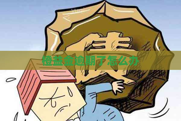 橙益金逾期了怎么办