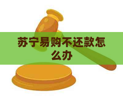 苏宁易购不还款怎么办