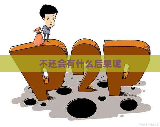不还会有什么后果呢