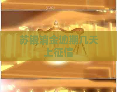苏银消金逾期几天上