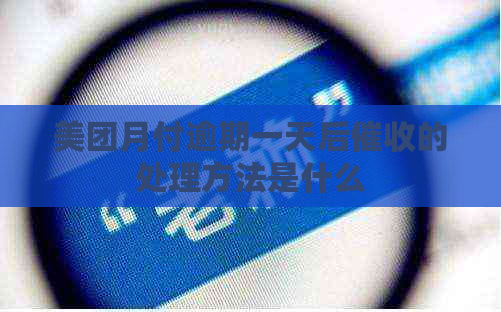 美团月付逾期一天后的处理方法是什么