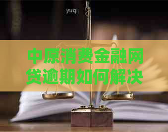 中原消费金融网贷逾期如何解决