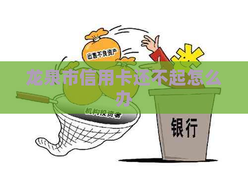 龙泉市信用卡还不起怎么办