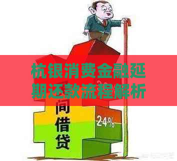 杭银消费金融延期还款流程解析