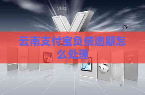 云南支付宝负债逾期怎么处理