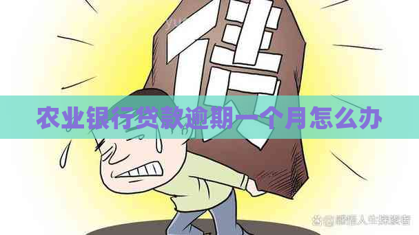 农业银行贷款逾期一个月怎么办