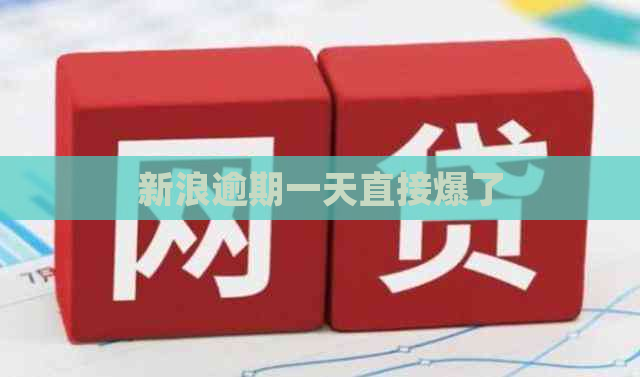 新浪逾期一天直接爆了