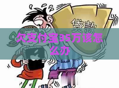 欠支付宝35万该怎么办