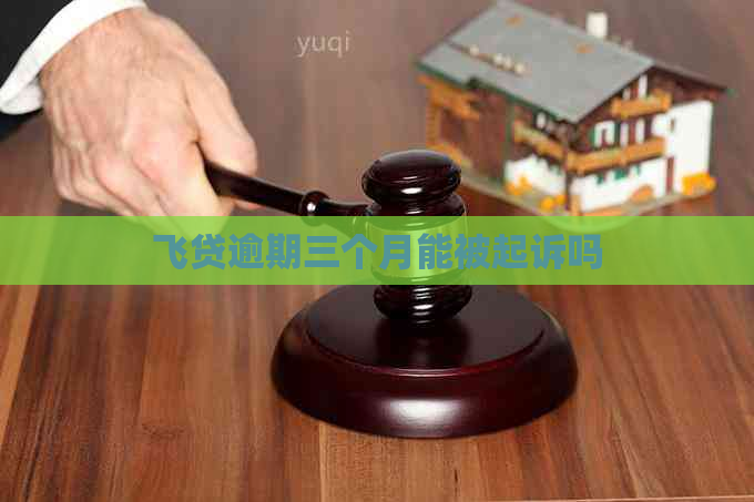 飞贷逾期三个月能被起诉吗
