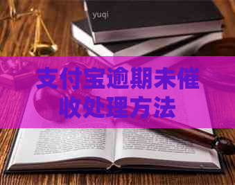 支付宝逾期未处理方法