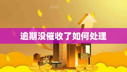 逾期没了如何处理