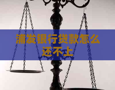 浦发银行贷款怎么还不上