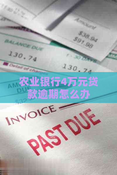 农业银行4万元贷款逾期怎么办