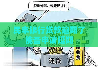 民丰银行贷款逾期了能否申请延期