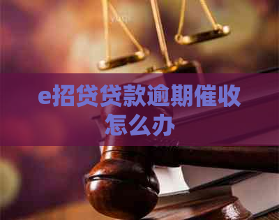 e招贷贷款逾期怎么办
