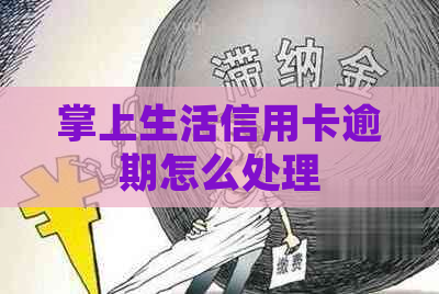 掌上生活信用卡逾期怎么处理