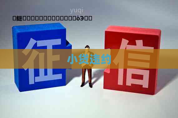 小贷违约