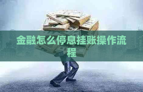 金融怎么停息挂账操作流程