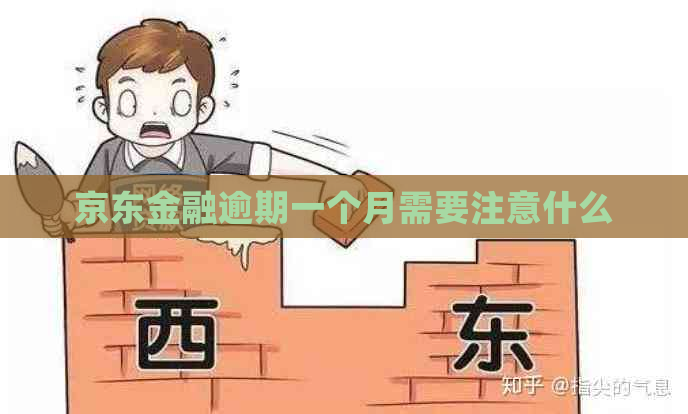 京东金融逾期一个月需要注意什么