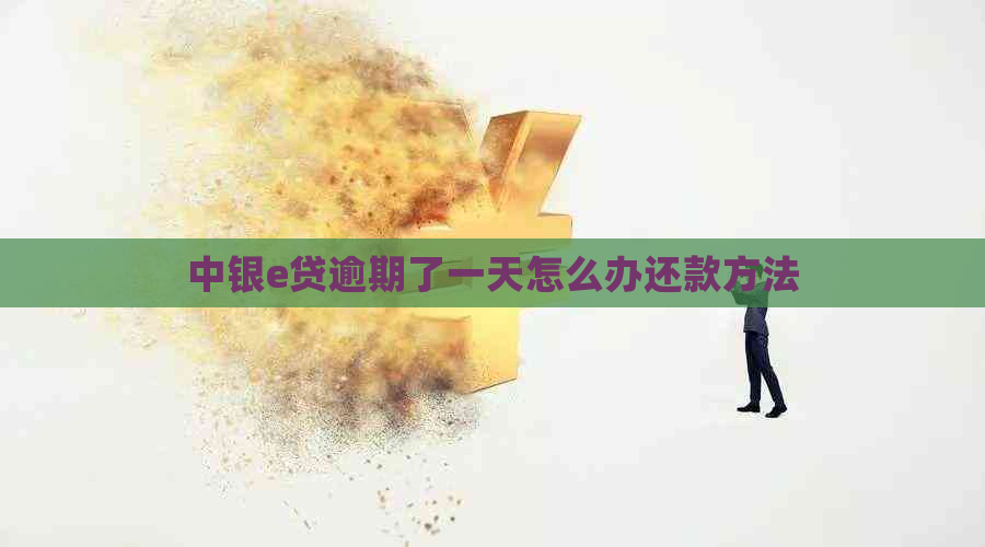 中银e贷逾期了一天怎么办还款方法