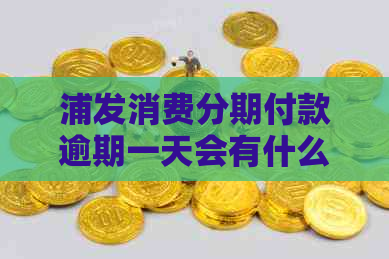 浦发消费分期付款逾期一天会有什么后果
