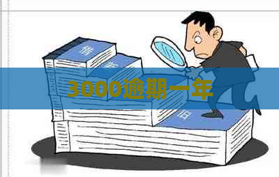 3000逾期一年