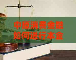 中原消费金融如何进行本金还款操作