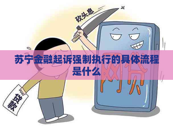 苏宁金融起诉强制执行的具体流程是什么