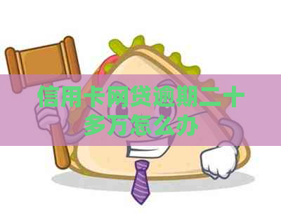 信用卡网贷逾期二十多万怎么办