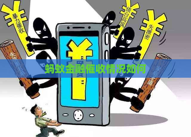 蚂蚁金融情况如何