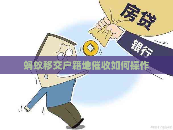 蚂蚁移交户籍地如何操作