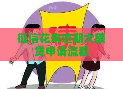 花未逾期大额贷申请流程